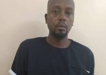 State House Imposter Arrested Conning Swedish Investor