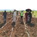 Dr. Amina’s Story on her Quest to Drive Growth in Northern Uganda