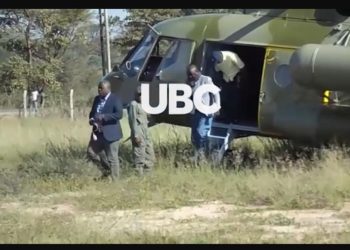Video Evidence: Millions of Locusts in Uganda have Turned Yellow Readying to Lay Eggs