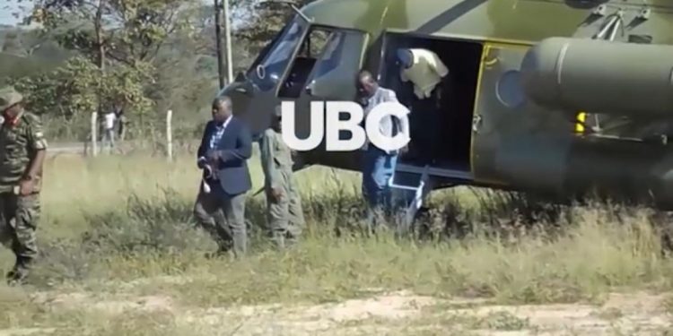 Video Evidence: Millions of Locusts in Uganda have Turned Yellow Readying to Lay Eggs