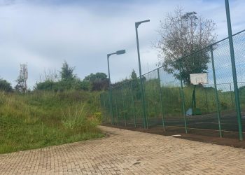 Snakes, Frogs Invade Bushy Pearl of Africa Hotel