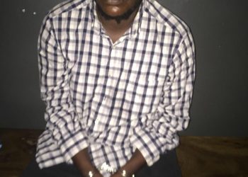 Rogue Tour Operator Arrested Following Weeks on the Run