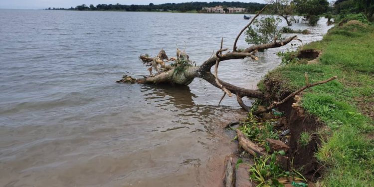 Photos: L. Victoria Washes away Compound of Ham’s Palatial Residence