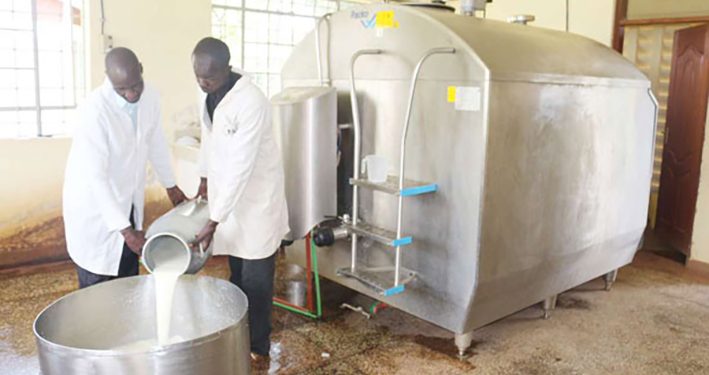 Uganda Dairy Processors Decry Volatile EAC Market