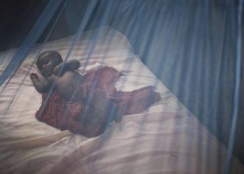 Stopping Malaria Spread: Ministry of Health Scores Highly With Free Mosquito Nets