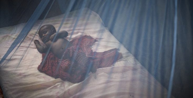 Stopping Malaria Spread: Ministry of Health Scores Highly With Free Mosquito Nets