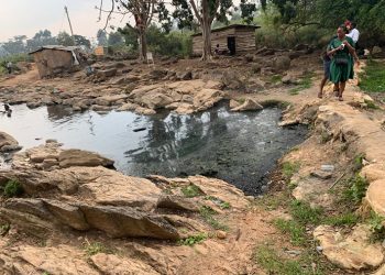 Kitagata Hot Springs go to the Dogs as Government Looks on