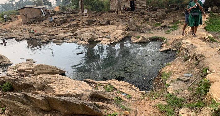 Kitagata Hot Springs go to the Dogs as Government Looks on