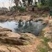 Kitagata Hot Springs go to the Dogs as Government Looks on