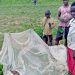 Government Warns Against Selling and Misuse of Mosquito Nets