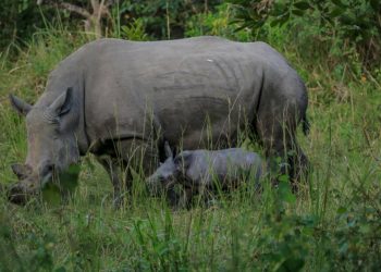 The Rich Ruparelias baptize ‘New family Member’ Rae Ruparelia