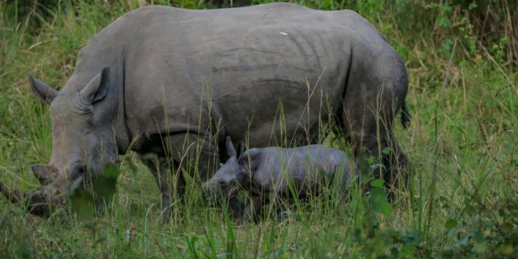 The Rich Ruparelias baptize ‘New family Member’ Rae Ruparelia