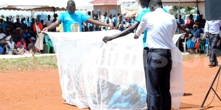 Free Mosquito Nets from Health Ministry Help Keep Out Malaria During Rainy Season