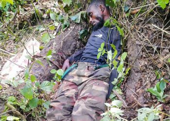 Operation Shujaa: UPDF guns Down another Somali ADF commander