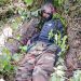 Operation Shujaa: UPDF guns Down another Somali ADF commander