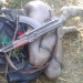 Armed warriors Gunned down as SFC commandos Seal off Karamoja villages