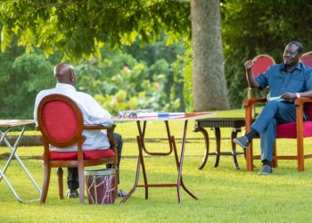 Ruto camp on Tension as Political chess Grandmaster Museveni hosts Odinga