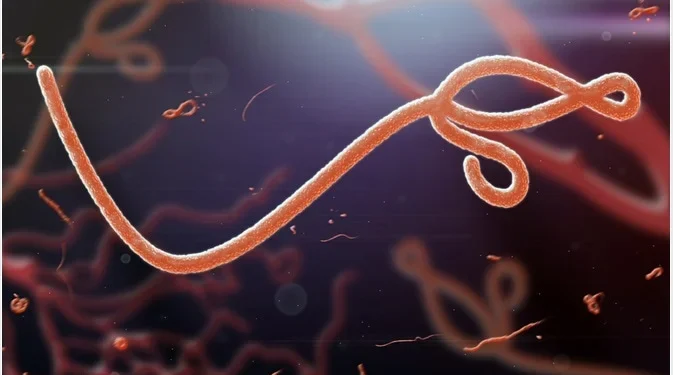 Panic as Ebola breaks Out in Mubende