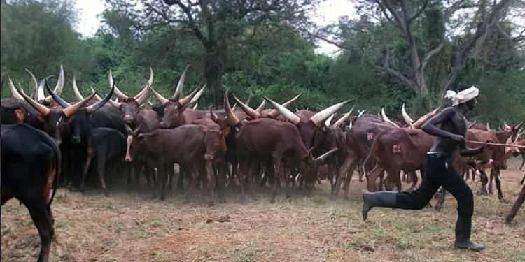 Letter: After talking to Saleh, Museveni postpones Eviction of Balaalo from Northern Uganda