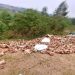 Veterinary doctor Behind death of Thousands of Hens in Masaka