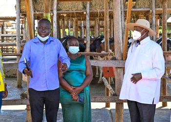 From taxi Driver to Model farmer: How Museveni’s 4-acre Model transformed a Life