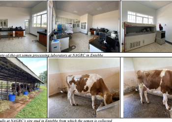 NAGRC unveils Cutting-Edge semen Processing laboratory with Global ambitions