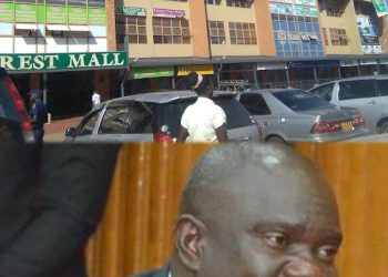 Auctioneers move to attach  Forest Maĺl