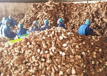 UBOS 2024 Census: Bukedi Sub-Region struggles with Poverty and Food Insecurity despite High Water Access 