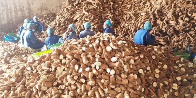 UBOS 2024 Census: Bukedi Sub-Region struggles with Poverty and Food Insecurity despite High Water Access