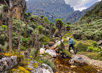 UBOS 2024 Census: Rwenzori Sub-Region shows Strong Water access but Struggles with Poverty and High Fertility