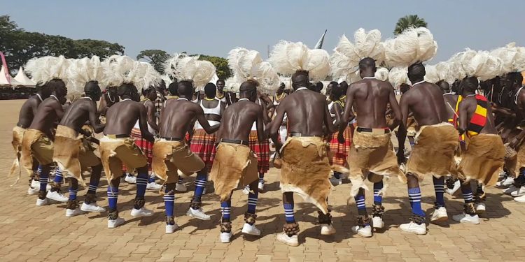 UBOS 2024 Census: Acholi Sub-Region Rebuilding with Strong Land Tenure but Faces Poverty and Youth Joblessness