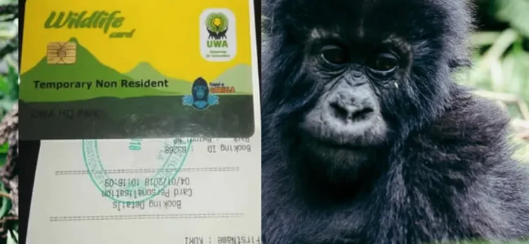 15 UWA bosses who Stole shs.9bn through Fake Gorilla permits Sent to Luzira 