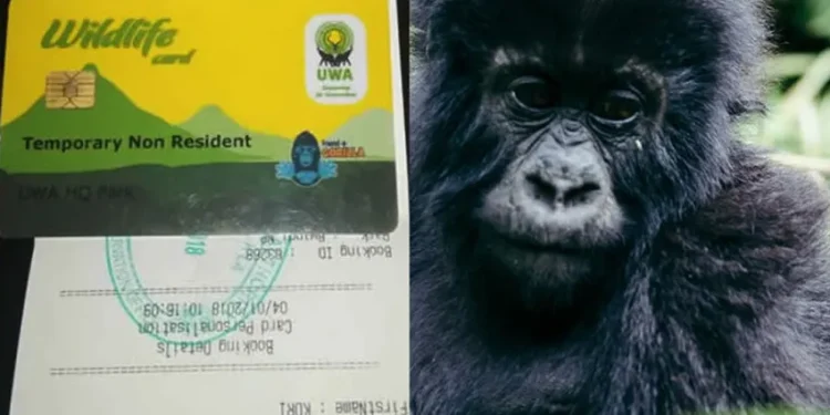 15 UWA bosses who Stole shs.9bn through Fake Gorilla permits Sent to Luzira 