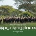 Landmark Book Celebrating Ankole Cattle Heritage Launched in Uganda