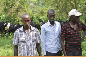 Youth Livelihood Programme (YLP) cuts unemployment as earnings increase