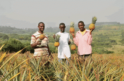 YLP funds transforming lives of youth population; says Bigirimana