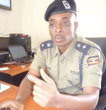 Police report: 48 guns, 524 rounds of ammunition recovered