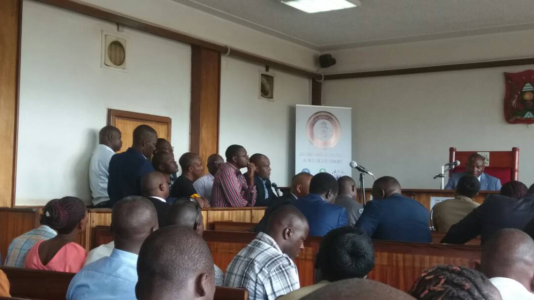 Court Dismisses Case against Red Pepper Bosses