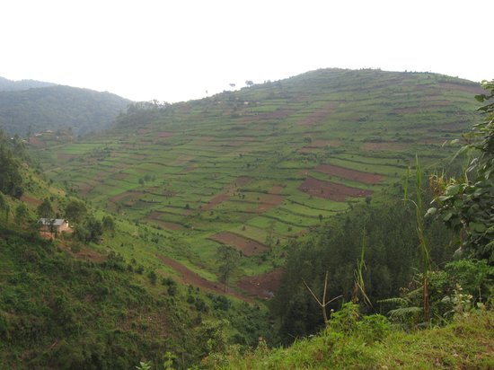 British Tourist Dies in Kabale