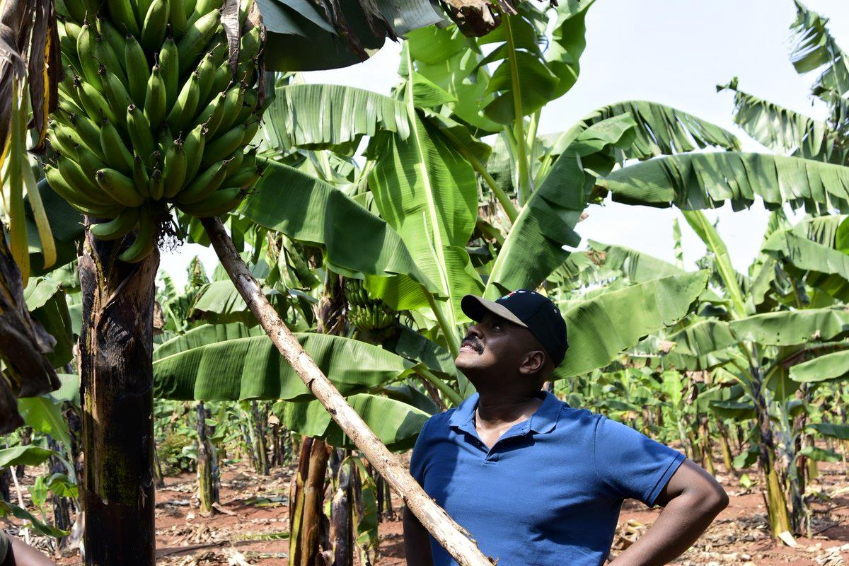 Photos: Muhoozi to Ugandans: “Farming is a Hub of Wealth”
