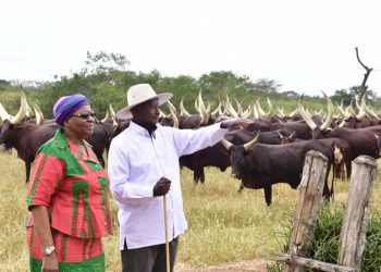 Museveni Writes to Bazukulu about His Countrywide Wealth Creation Tour