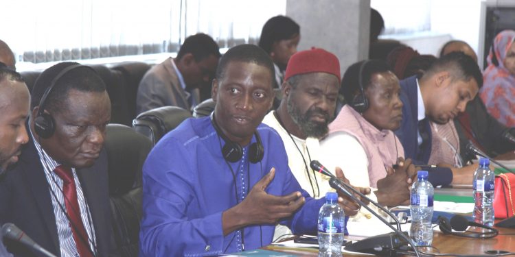 Pan African MPs Courted on Free Movement of Persons