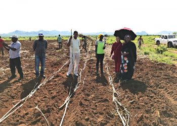 Dr. Amina’s Story on her Quest to Drive Growth in Northern Uganda