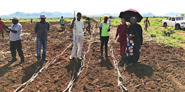 Dr. Amina’s Story on her Quest to Drive Growth in Northern Uganda