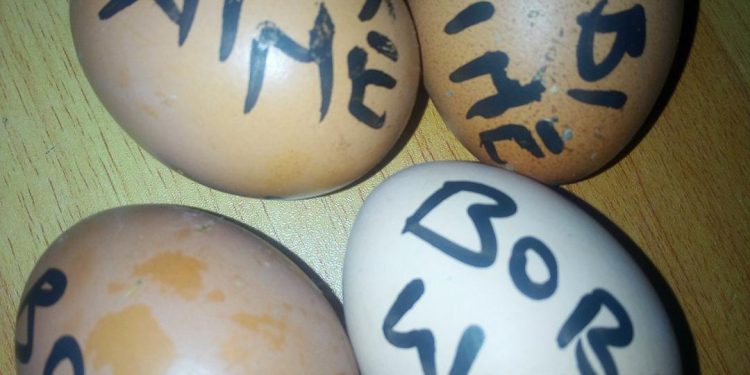 People Power Resorts to Eggs, Cabbages in New Anti-Museveni Fight