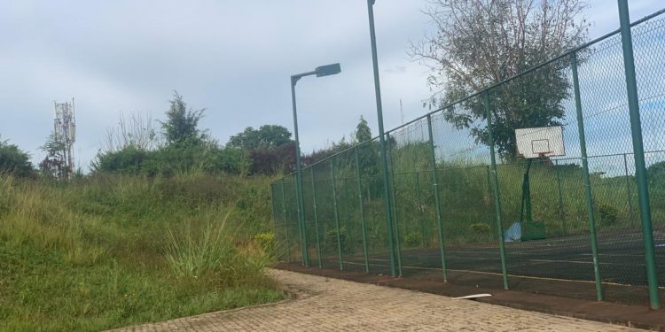 Snakes, Frogs Invade Bushy Pearl of Africa Hotel