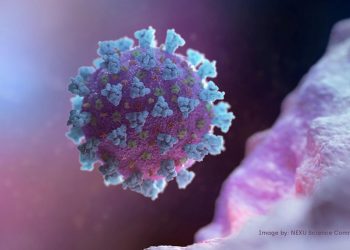 COVID-19 cases in Rwanda hit 40