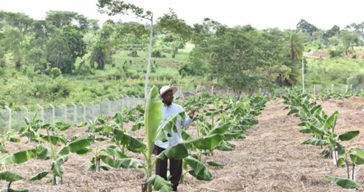 Just in: 2 Businessmen arrested with 5 titles of Museveni’s Land in Gomba