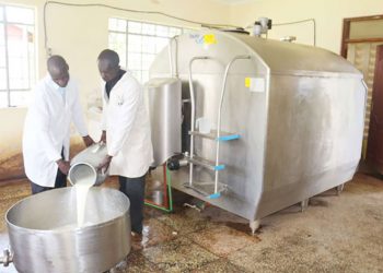 Uganda Dairy Processors Decry Volatile EAC Market