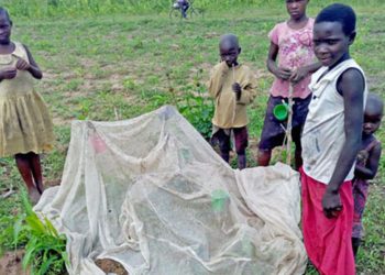 Government Warns Against Selling and Misuse of Mosquito Nets